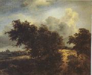Jacob van Ruisdael The Bush (mk05) oil painting